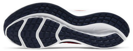 Details for Nike Downshifter 10 'Blue Red' CI9981-400