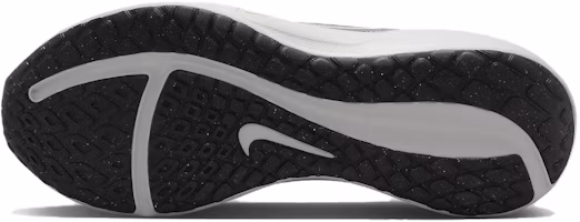 Details for Nike Downshifter 13 White Ashen Slate Photon Dust Metallic Silver FD6454-102