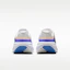Details for Nike Downshifter 14 Platin-Tint/Schwarz/Weiß/Off Noir Sneakers IB1895-004