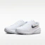 Purchase Nike Downshifter 14 Weiß/Platinum Tint/Anthrazit/Schwarz IB1895-101
