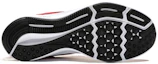 Details for Nike Downshifter 9 'Rojo Gimnasio' AQ7481-600