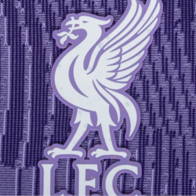 나이키 드라이 핏 ADV 리버풀 풋볼 셔츠 퍼플 유니섹스 반팔 티셔츠 DX9758-568 Sizing 나이키 드라이 핏 ADV 리버풀 풋볼 셔츠 퍼플 유니섹스 반팔 티셔츠 DX9758-568