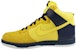 나이키 덩크 하이 '옐로우' (Nike Dunk High 'Yellow') 317982-771