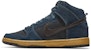 Nike Dunk High Pro Sb 'Blue' 305050-010