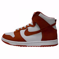 Nike Dunk High Pro SB 'Syracuse' 305050-181