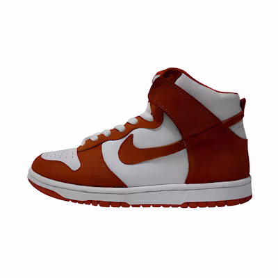 Nike Dunk High Pro SB 'Syracuse'