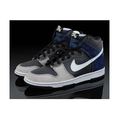 Nike Dunk High Pro SB 'Un-Futuras'