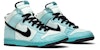 Nike Dunk High SB 'Kristal Laut' 305050-301