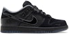 Nike Dunk Low ''PE 'What the Duck - Universiti Oregon Alternatif' HV1470-001