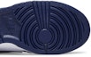 Purchase 耐克Dunk Low“松树午夜海军蓝” FV6911-300