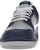 Nike Dunk Low 'Kelabu' 309431-015