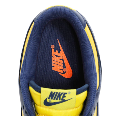 Nike Dunk Low 'Michigan' 2021 DD1391-700