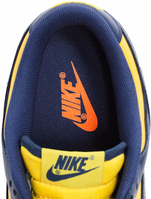 Nike Dunk Low 'Michigan' 2021 DD1391-700 2