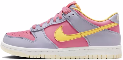 (Youth) Nike Dunk Low 'Pure Platinum' DH9765-500