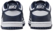 Details for (JR) Nike Dunk Rendah FB9109-116