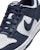(JR) Nike Dunk Rendah FB9109-116