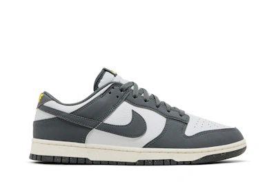 Nike Dunk Low Next Nature 'Iron Grey Lightning'