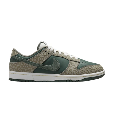 Nike Dunk Low Premium 'Urban Landscape 2.0' HF4878-053