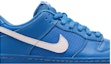 Order Nike Dunk Low Premium SB 'Biru' 313170-462