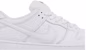 Nike Dunk Low Pro SB 'Triple White' FJ1674-100