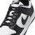 Nike Dunk Low Retro HF5441-100