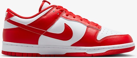 Lookbook Nike Dunk Low Retro HF5441-104