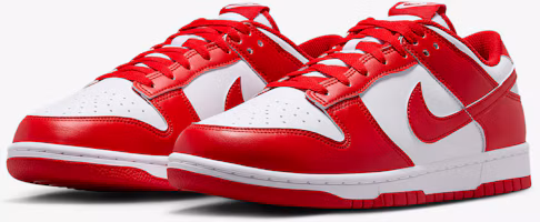 Purchase Nike Dunk Low Retro HF5441-104