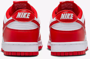 Details for Nike Dunk Low Retro HF5441-104