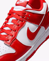Sizing Nike Dunk Low Retro HF5441-104