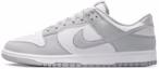 Buy Nike Dunk Low Retro HF5441-105