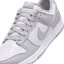 Sizing Nike Dunk Low Retro HF5441-105