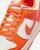 Nike Dunk LOW Retro HF5441-106