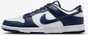 Nike Dunk Low Retro HF5441-107