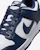 Nike Dunk Low Retro HF5441-107