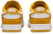 Nike Dunk Low Retro HF5441-109