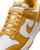 Nike Dunk Low Retro HF5441-109