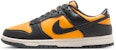 Nike Dunk Low Retro HF5441-700
