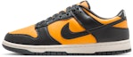 Buy Nike Dunk Low Retro HF5441-700