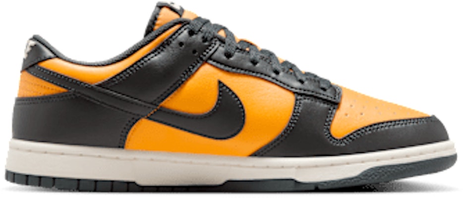 Nike Dunk Low Retro HF5441-700 Lookbook Nike Dunk Low Retro HF5441-700