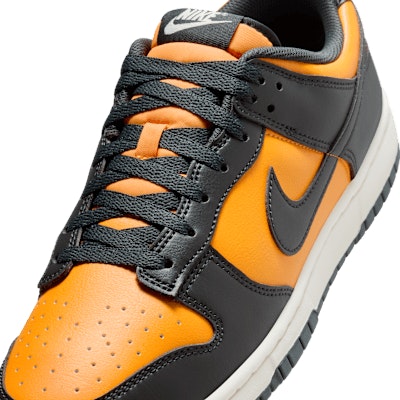 Nike Dunk Low Retro HF5441-700 Sizing Nike Dunk Low Retro HF5441-700