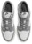 Nike Dunk Low Retro SE IB6399-001