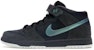 Nike Dunk Mid Premium SB 'Northern Lights' 314381-031