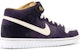 Nike Dunk Mid Pro SB 'Ungu' 314383-511