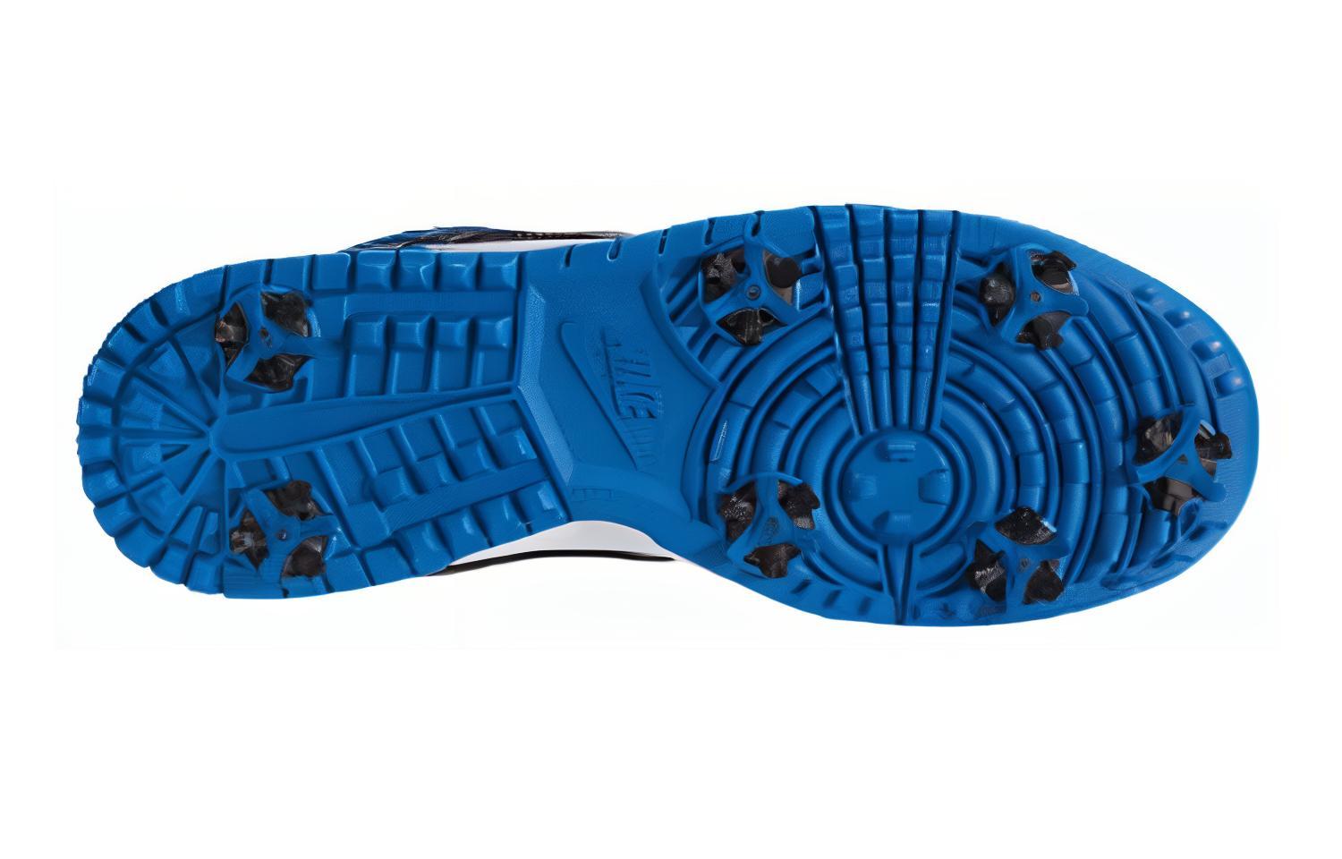 Lookbook Nike Dunk NG Zapatillas de Golf 'Blancas' 484294-102