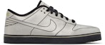 Buy Nike Dunk Se 6.0 'Delorean' Lelaki 433152-001