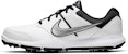 Nike Durasport 4 Wide 'Putih Logam Perak' 844551-100