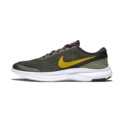Nike Flex Experience RN 7 'Peat Moss'