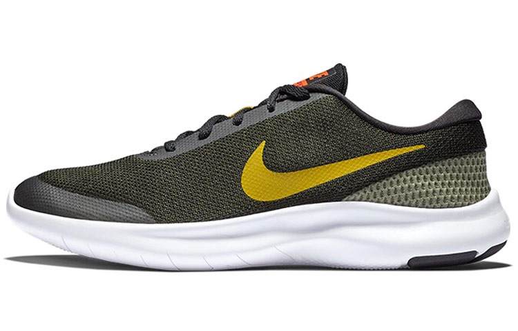 Nike Flex Experience RN 7 'Peat Moss' 908985-015