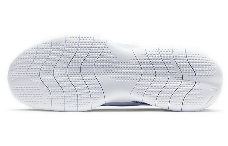 Details for Nike Flex Experience RN 9 Pure Platinum Scarpe da Running CD0225-007