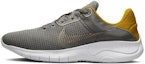 Buy Nike Flex Experience Run 11 Next Nature 'Flat Pewter Gold' dalam Warna Kelabu Emas. DD9284-009